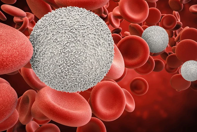 Basic principles of blood coagulation